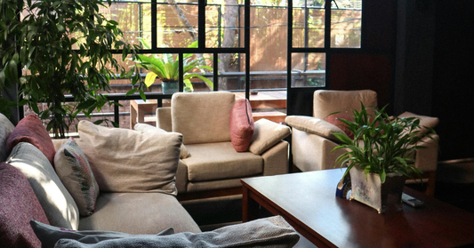 Timeless Design in an Age of Disposable Everything