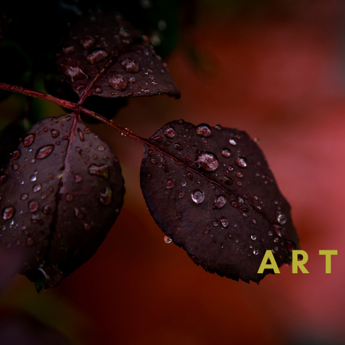 Art & Wall Décor UK | Curated Pieces for Your Home