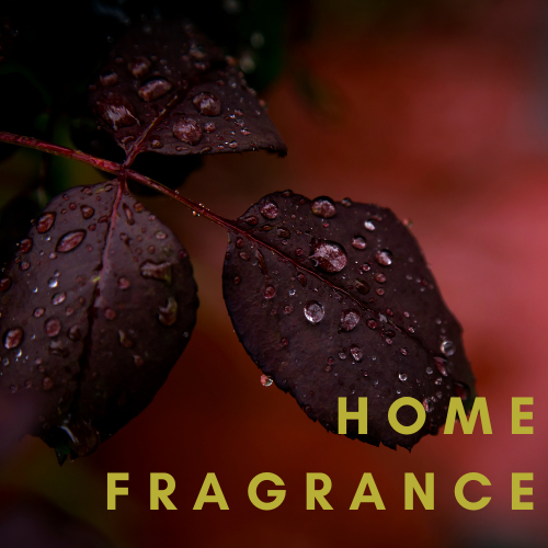 Home Fragrances & Candles UK | Scents to Inspire