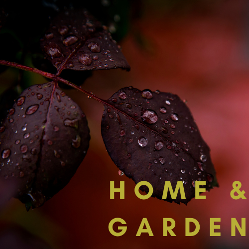 Home and garden at Extraordinary Emporium