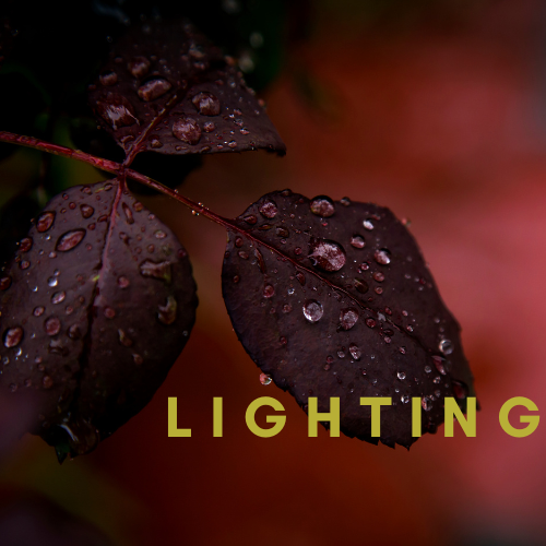 Lighting