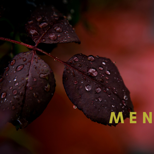 Men