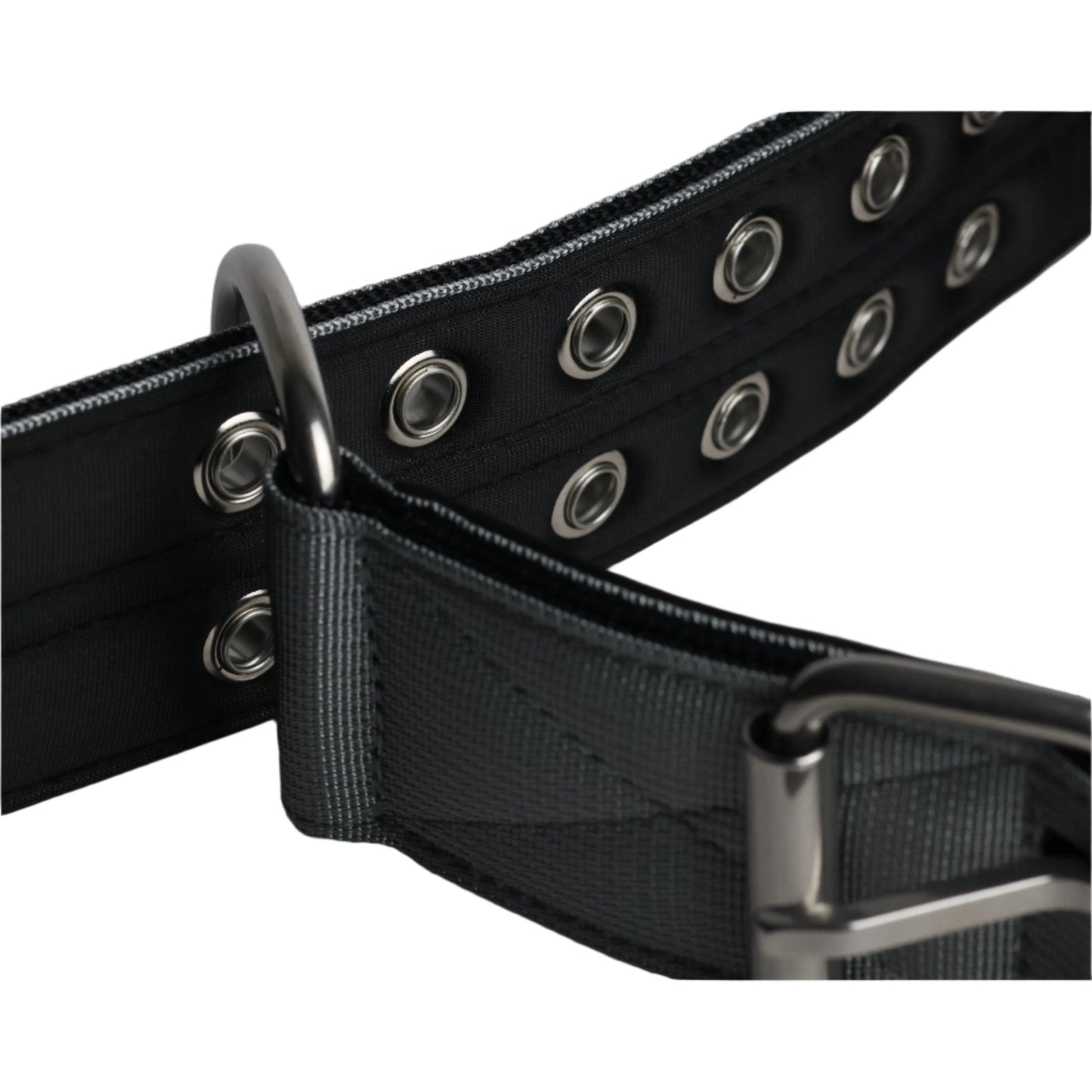 Dog Sport Collar | 5cm Grey