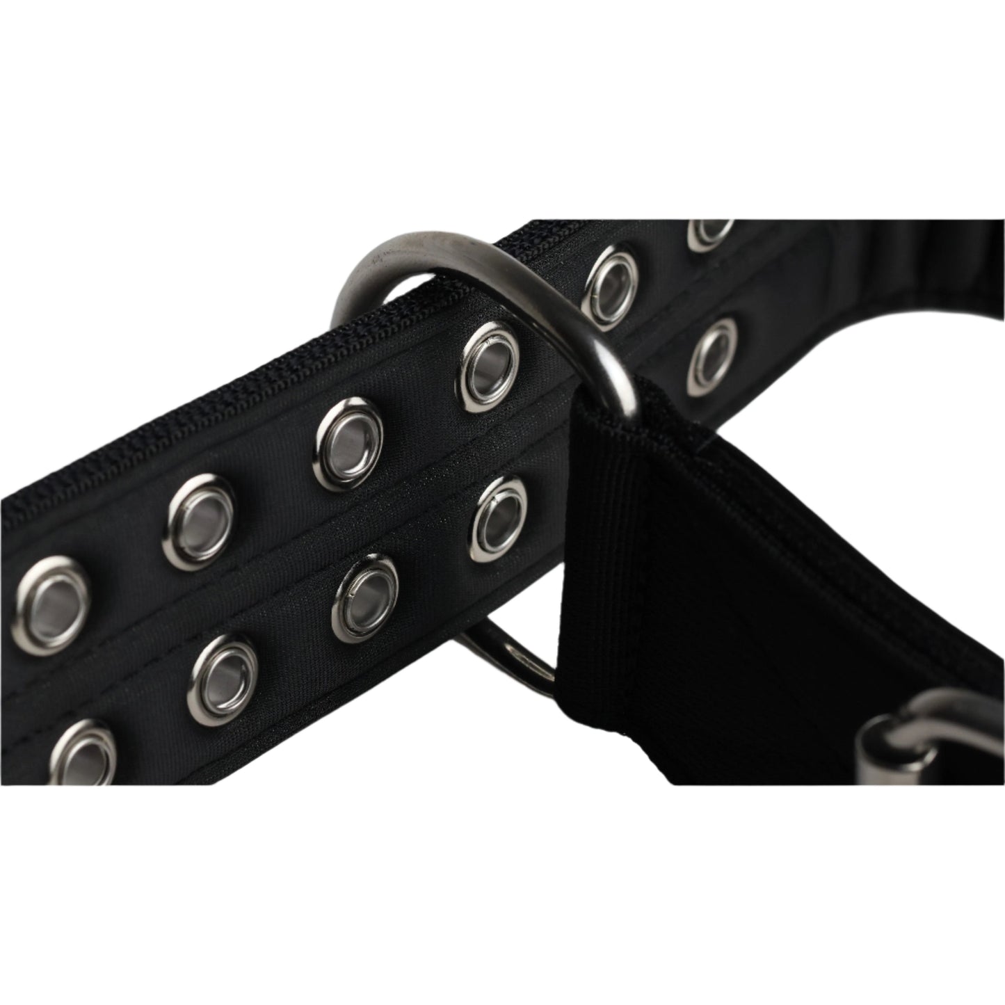 Dog Sport Collar | 5cm  Black