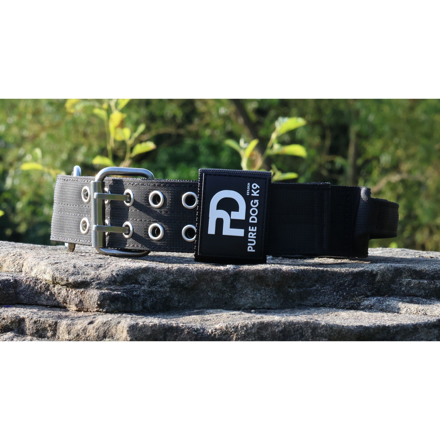 Dog Sport Collar | 5cm  Black