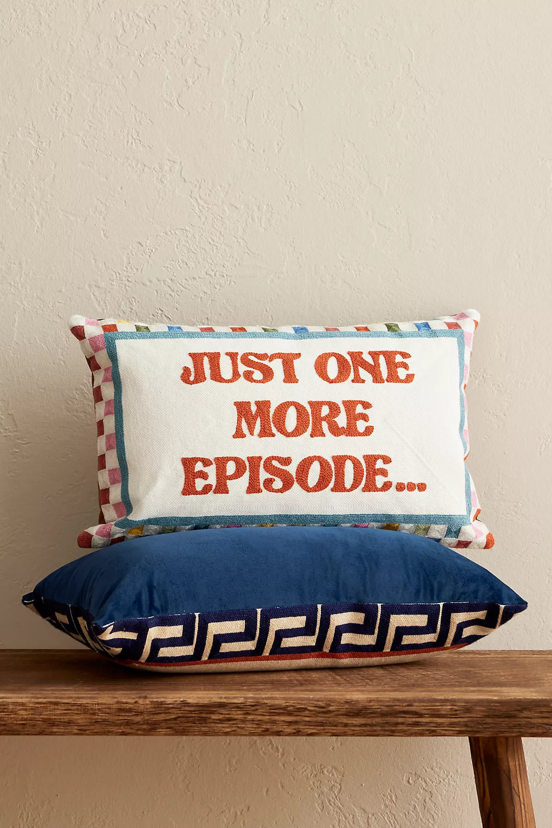 Needlepoint Cushion | Just One More Episode | Hand Stitched