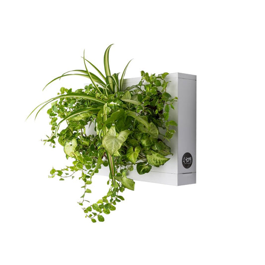 Indoor Outdoor Wall Mount Hanging Multi Plant Pot | White