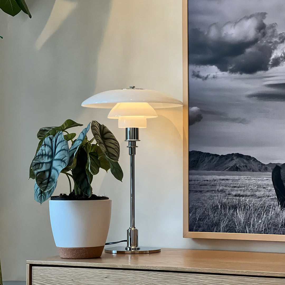 Table lamp on a wooden surface with a potted plant and a landscape painting in the background.  | Extraordinary Emporium UK