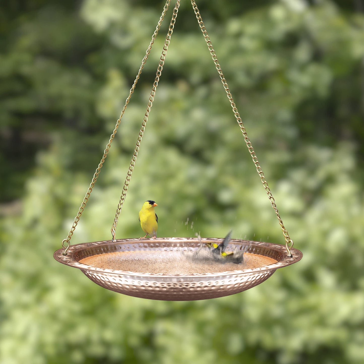 Hanging Bird Bath | Pure Copper | Rust-free | Shop Online UK