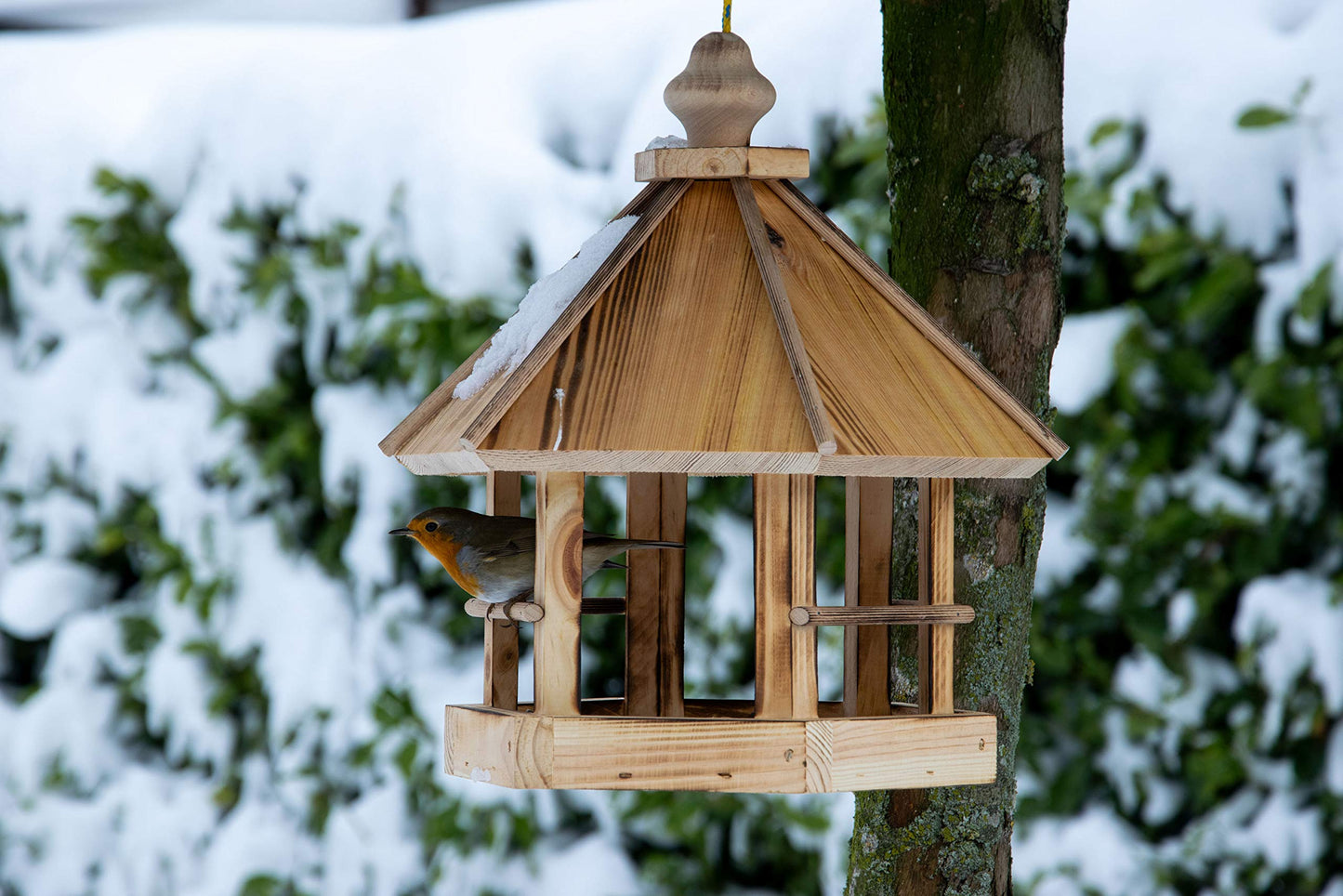 Caliente Hanging Bird House Feder  | Flamed | Pine Wood