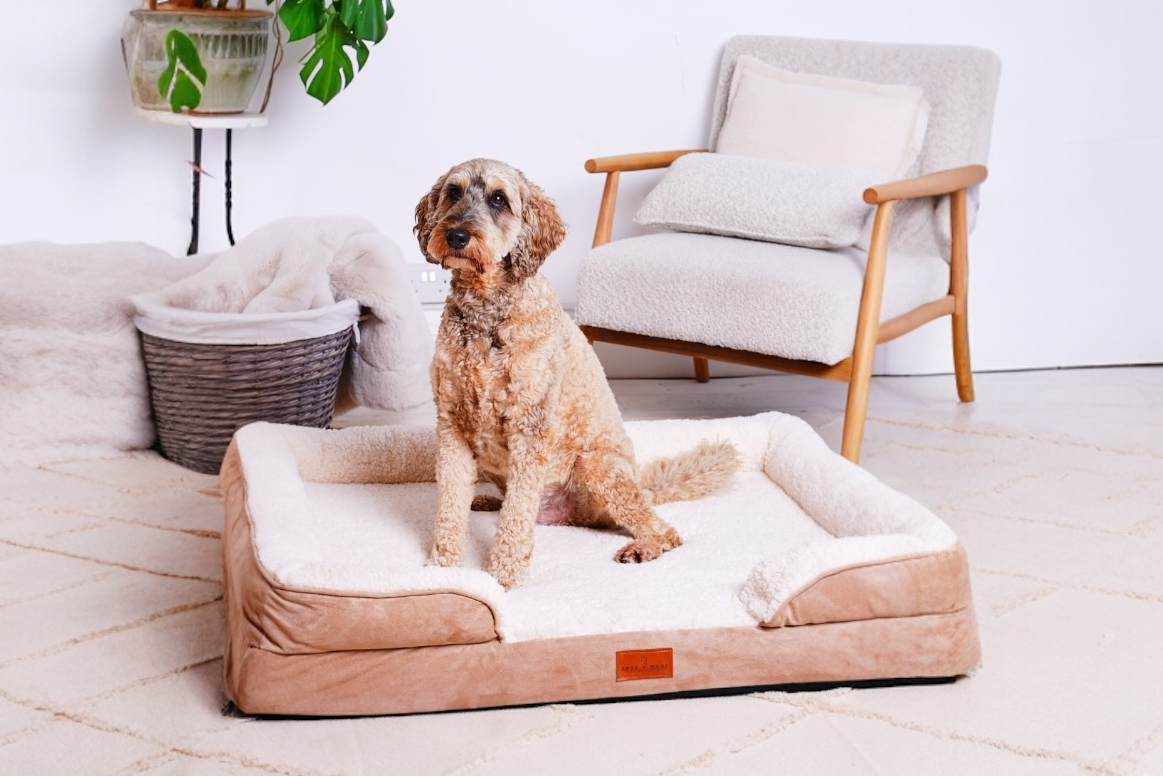 Dog Sofa | Belgravia Orthopaedic | Large | Removable Cover | Shop Online UK