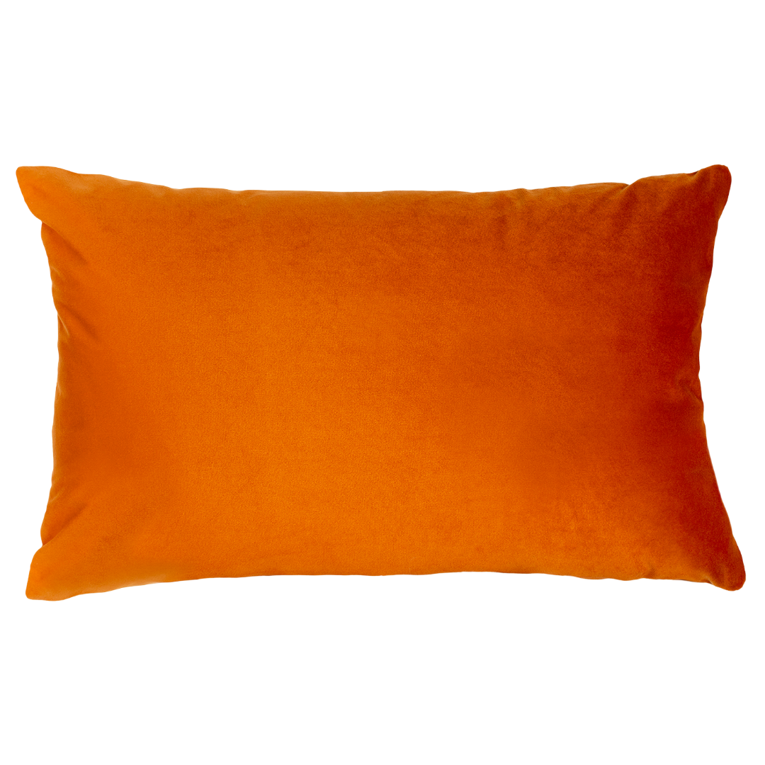 Needlepoint Statement Cushion | Nobody Puts Baby in the Corner| Handmade