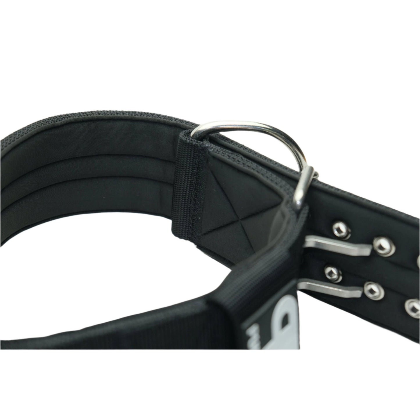 Dog Sport Collar | 7cm  Black