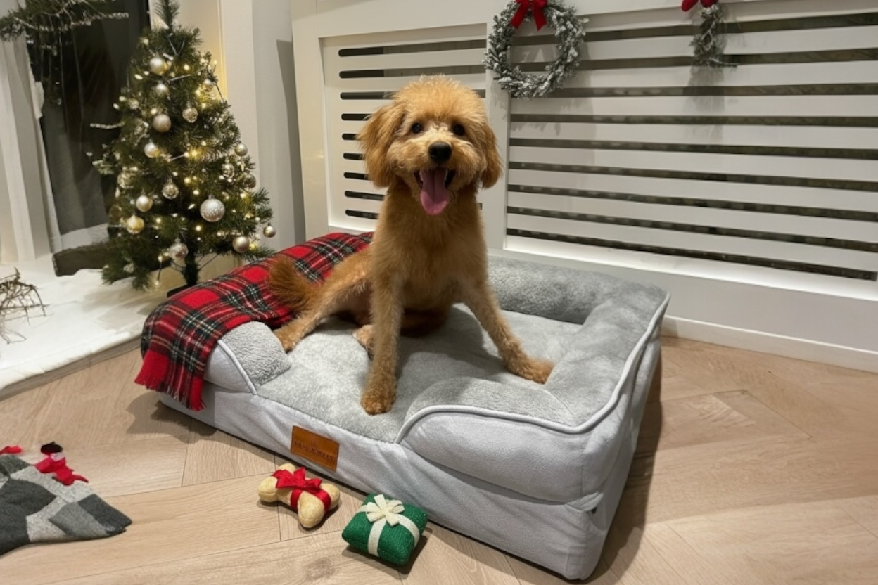The Belgravia Orthopaedic Dog Sofa |  Medium