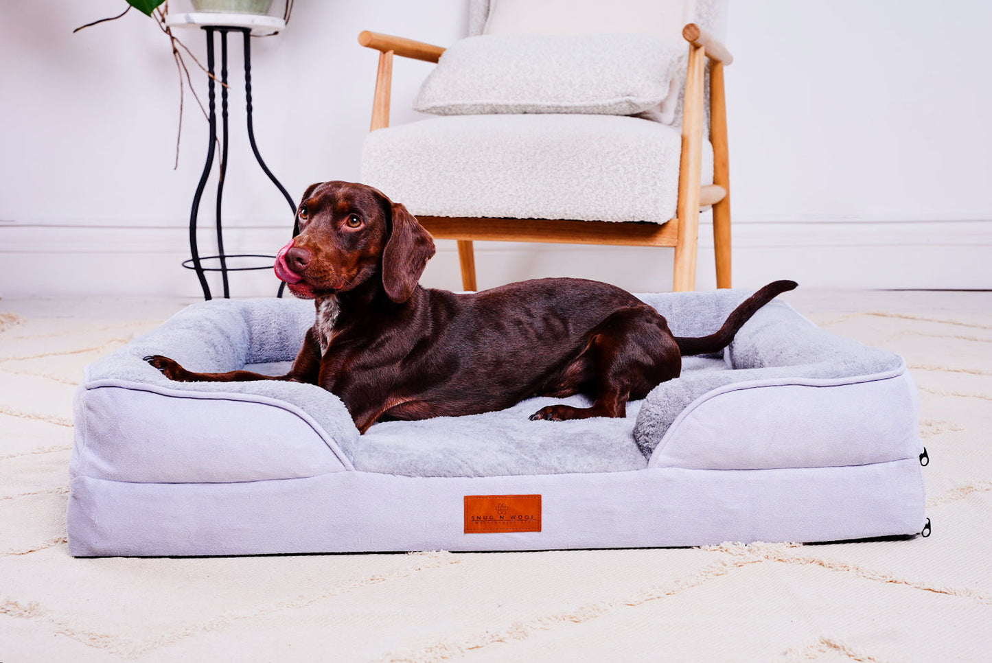 The Belgravia Orthopaedic Dog Sofa |  Medium