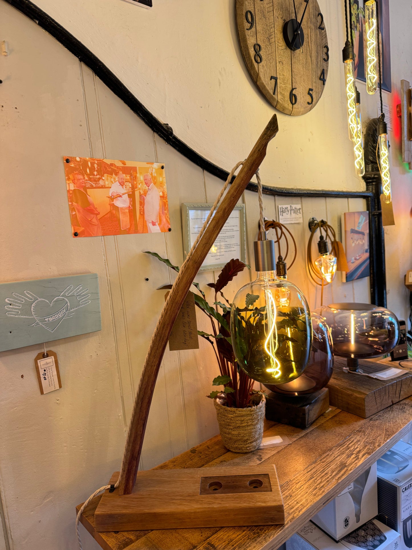 Decorative setup with a wooden stick, potted plant, and light bulb on a shelf. | Extraordinary Emporium 