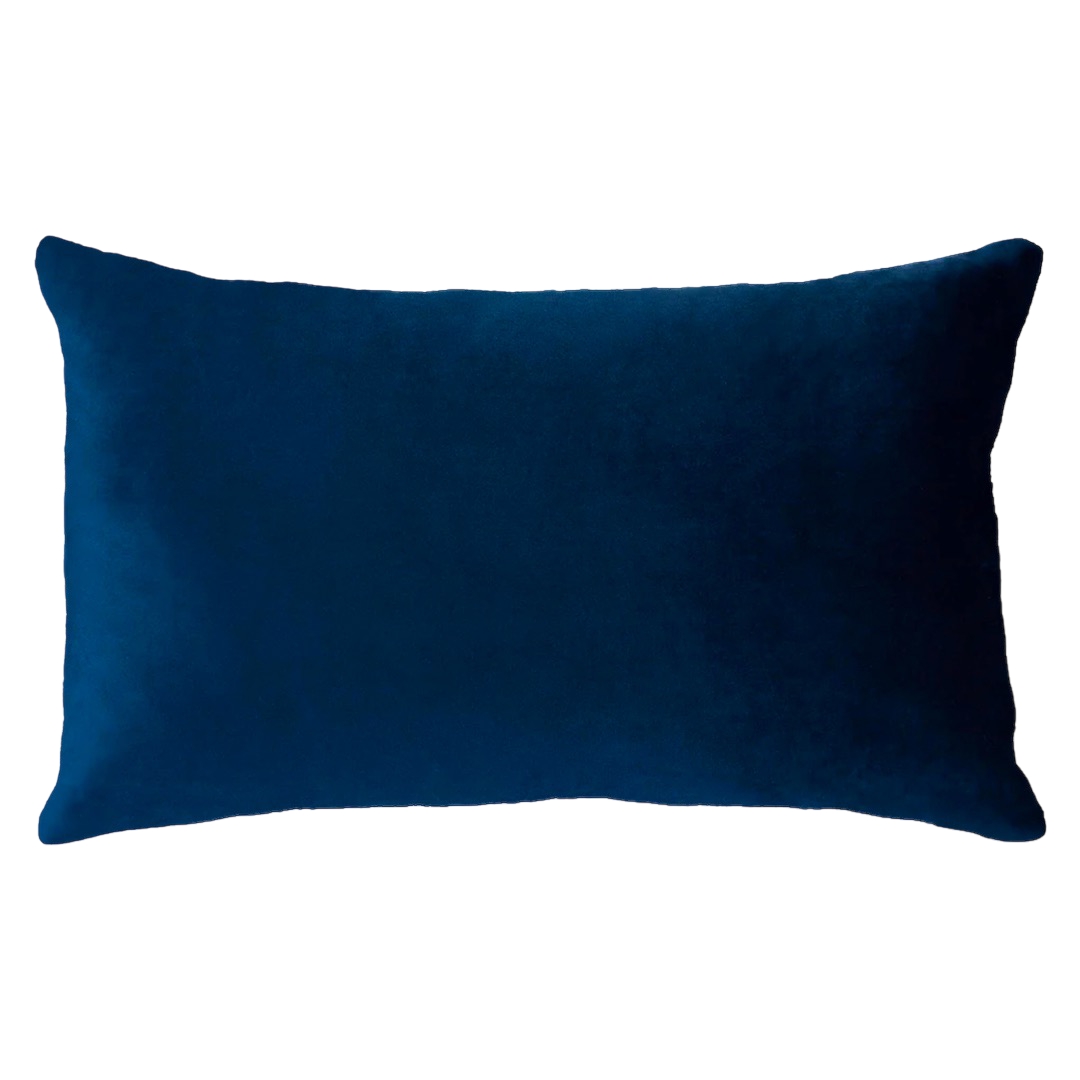 Needlepoint Statement Cushion | Netflix & Chill | Handmade