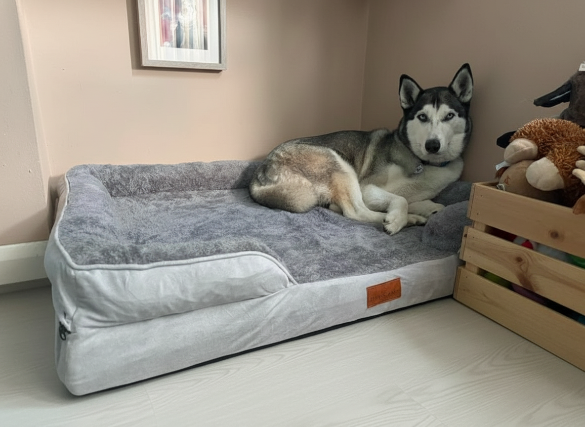Dog Sofa | Belgravia Orthopaedic | Xl | Buy Online UK