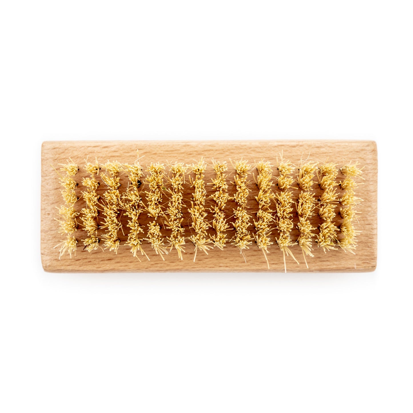 Natural Bristle Nail Brush | Biodegradable Sustainable